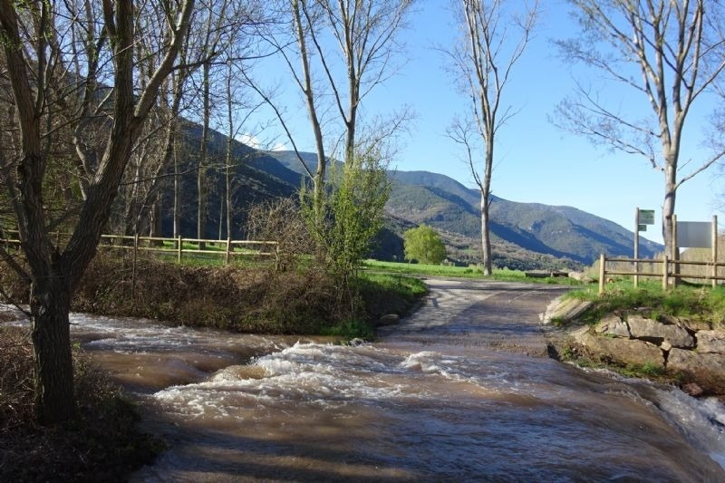 un río que fluye a través de un bosque con montañas en el fondo