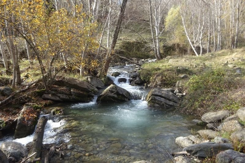 un riu a través d' un bonic entorn d' arbres i rocas