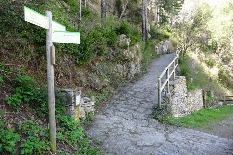 un poste de madera con un cartel que dice " ruta de senderismo "