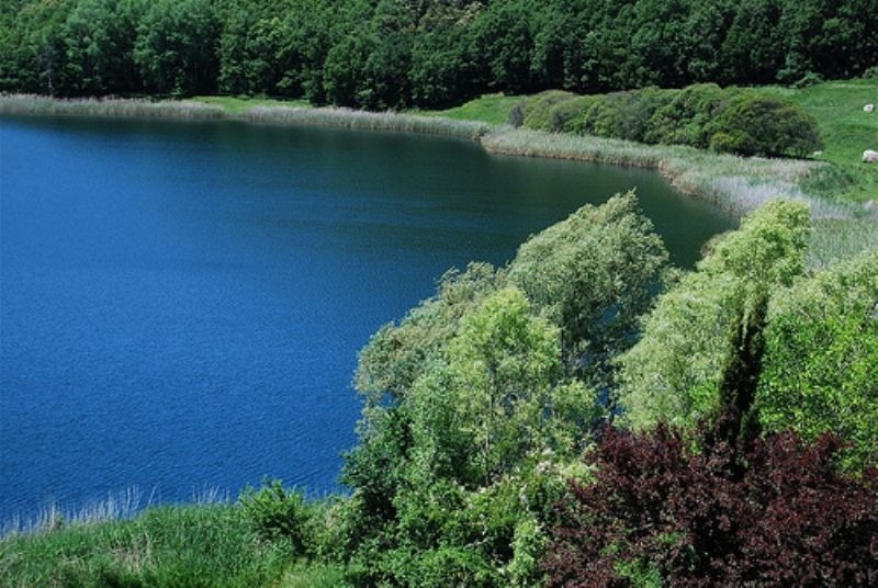 a large body of water surrounded by trees and grass