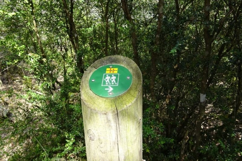 a wooden post with a green sign that says ' a ' on it