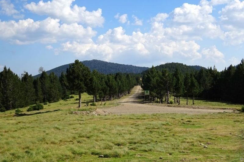 una carretera a través d' un camp d' herbe i arbres
