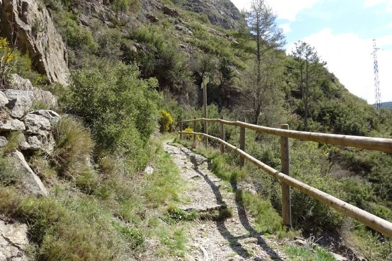 un camino de tierra con una cerca de madera a lo largo de él