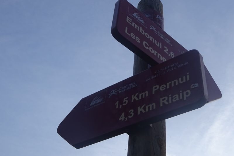 un senyal apunta a les corne i a 1,5 km pernui