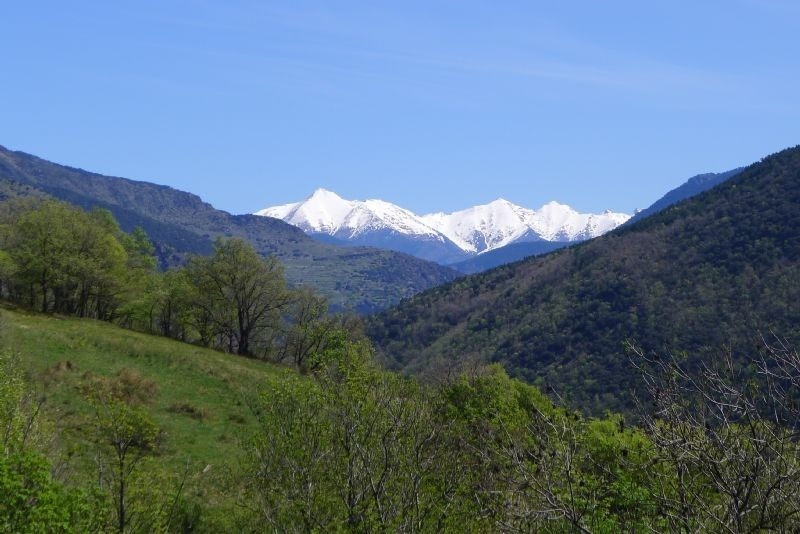 a view of a snowy mountain range with trees in the foreground