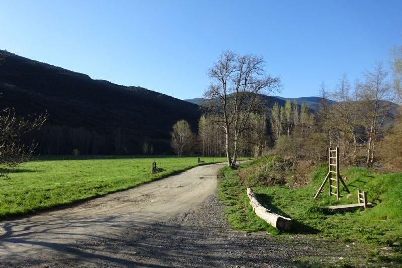 un camino de tierra que conduce a un campo verde