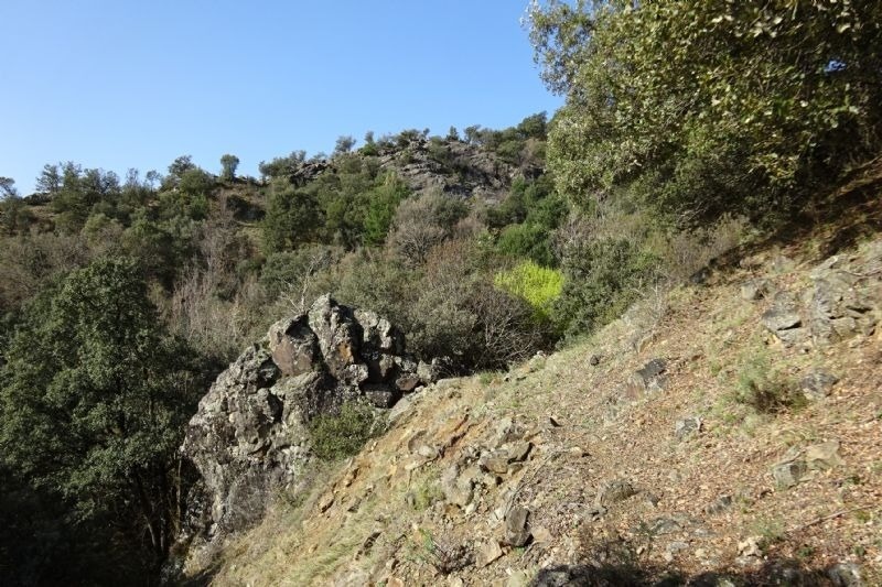 a rocky hillside with trees and bushes on it