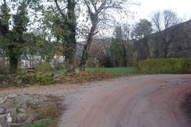 una carretera de terra a través d' un bosc