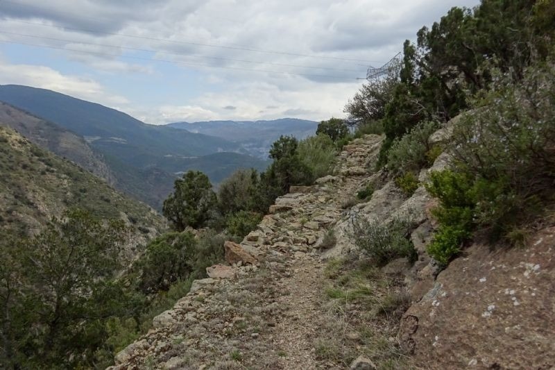 a trail in the mountains with trees and rocks