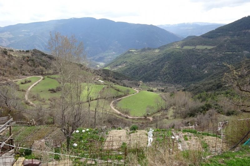 a view of a valley with mountains in the background