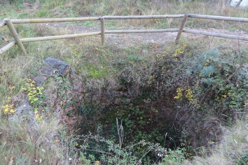 un llac cobert d' herbe i arbres a l' ombra d' una cerca de fusta