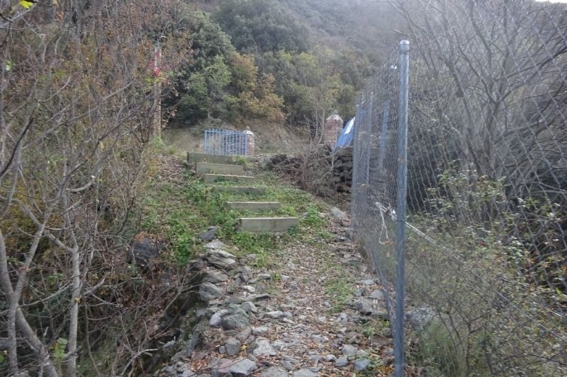 un camí a través d' un bosc amb una cerca