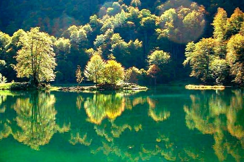 les arbres se reflètent dans l' eau d' un lac