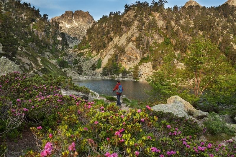 un hombre con una mochila camina por un sendero cerca de un lago en las montañas .