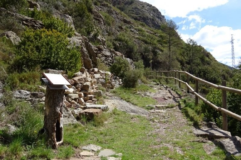 un cartel en un tocón de árbol en la ladera de una montaña