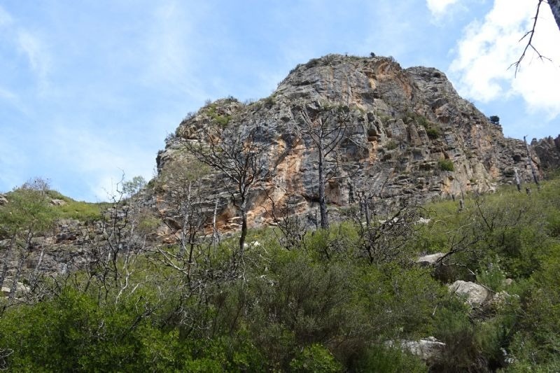 una montaña cubierta de árboles y arbustos con un cielo azul en el fondo