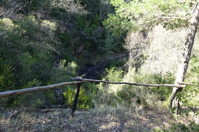 una escalera de madera conduce a una cascada en un bosque