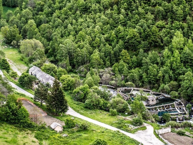una vista aèria d' un edifici enmig d' un bonic bosc