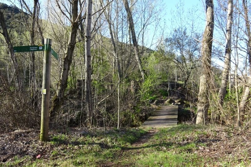 un puente de madera conduce a un sendero a través de un bosque