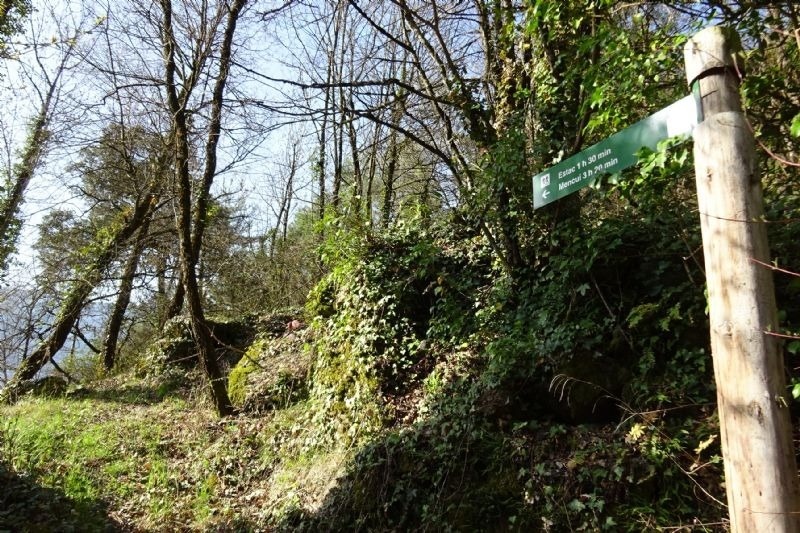 a wooden post with a green sign that says ' estadio life ' on it