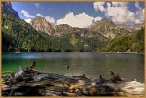 a lake surrounded by mountains and trees with a log in the foreground .