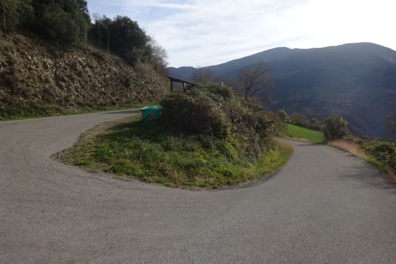 una carretera a l' aire lliure que s' envolta en bosc