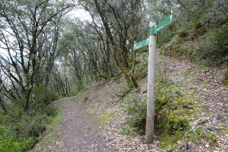 a wooden post with a green sign that says ' a ' on it