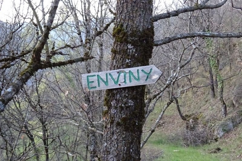 a tree with a sign on it that says enviny