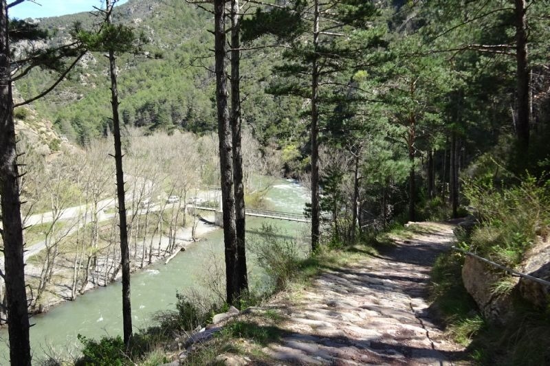 un camino que conduce a un puente sobre un río rodeado de árboles