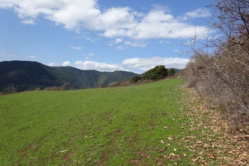 a lush green field with mountains in the background
