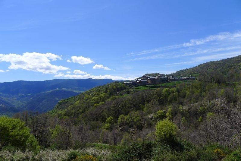 a small village sits on a hillside surrounded by trees