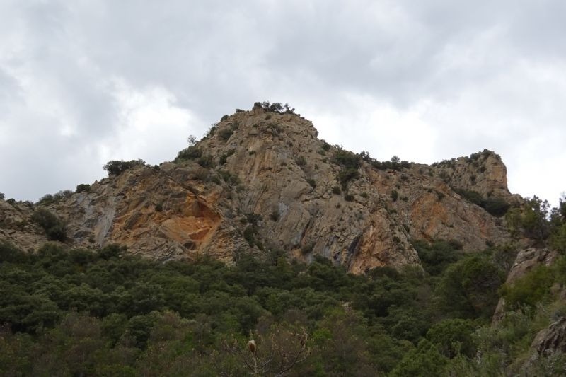 a mountain covered in trees with a cloudy sky in the background