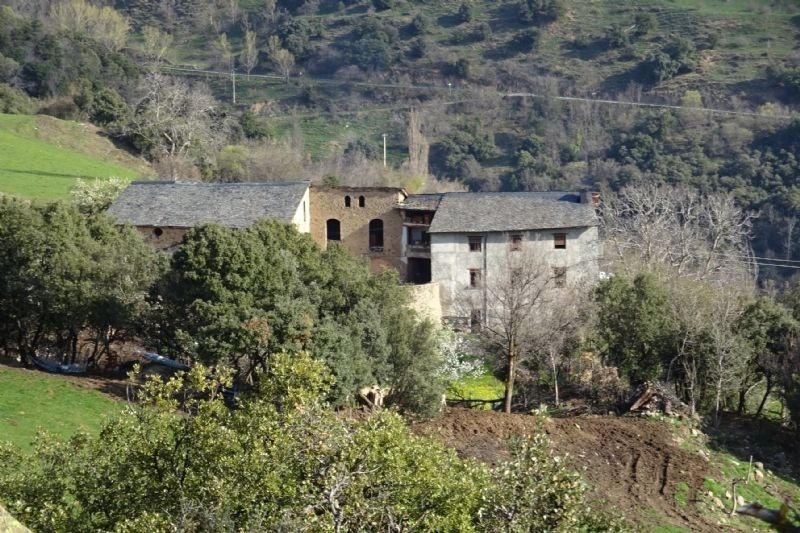 a house with a roof that is covered in shingles is surrounded by trees
