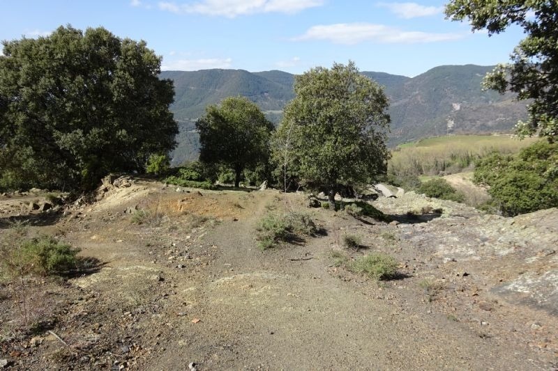 a dirt path with trees and mountains in the background