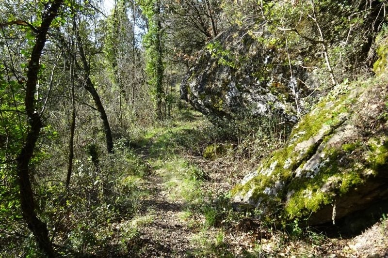 un camí a través d' un bonic envoltat d' arbres i rocas