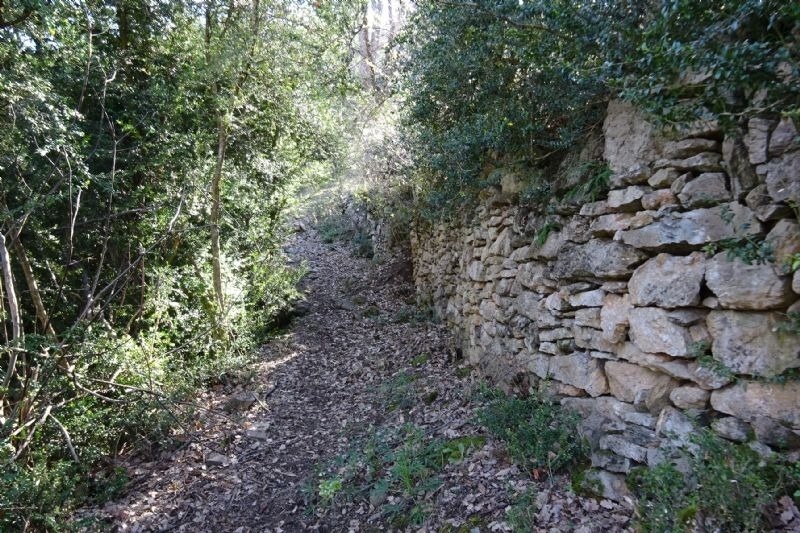 un camí a través d' un bonic recinte de roca