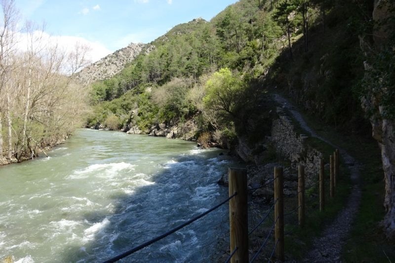 un riu envoltat d' arbres i rocas