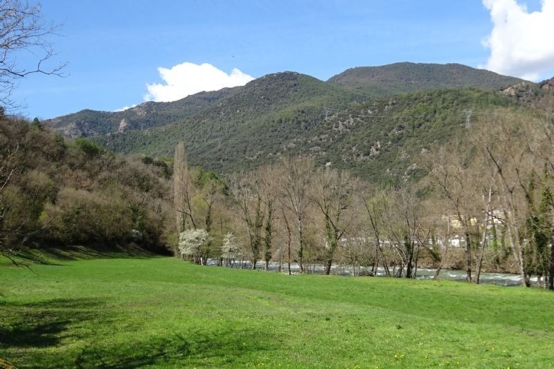 un riu flueix a través d' un paisatge d' arbres i monts