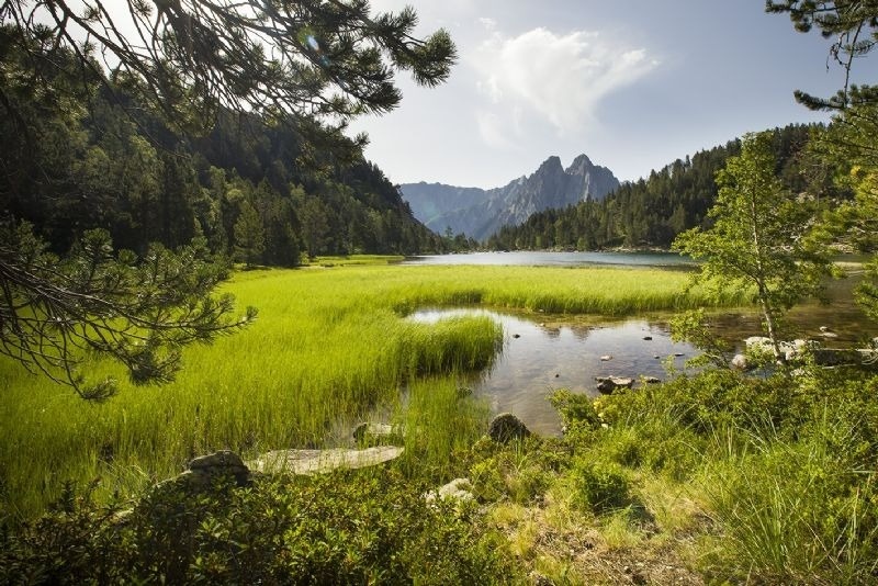 un llac envoltat d' arbres i una montagna al fons