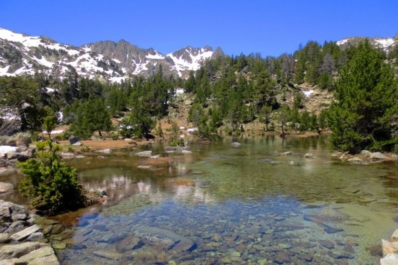 un lago en medio de un bosque con montañas cubiertas de nieve en el fondo
