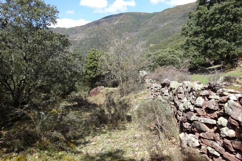 a stone wall in the middle of a field with trees in the background