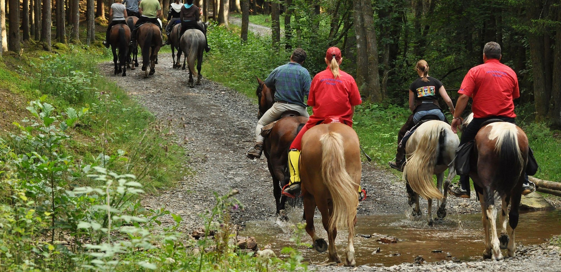 a group of people are riding horses down a dirt road