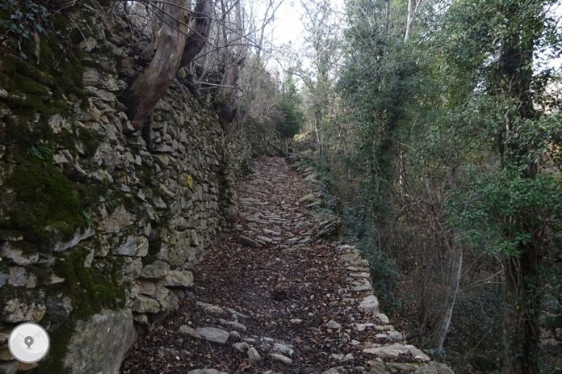 un camí de roca a través d' un bonic bosc