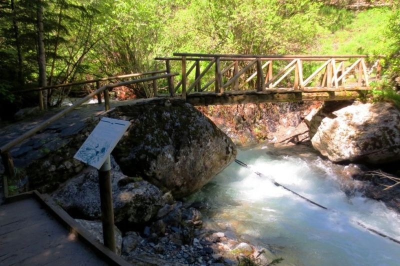un puente de madera sobre un río en el bosque