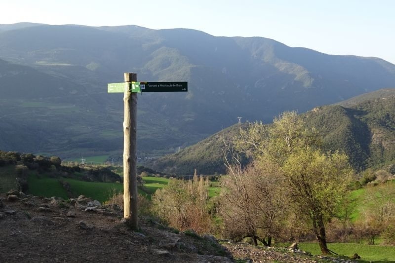 a wooden post with a sign on it that says " ruta "