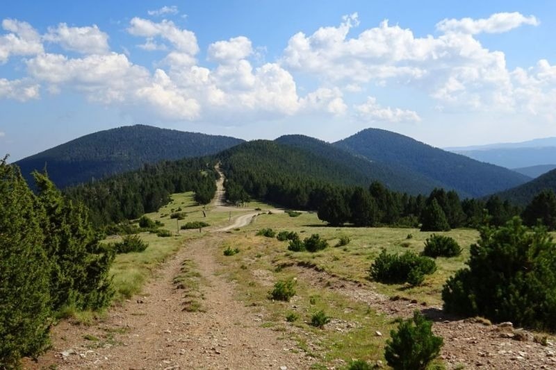 una carretera de roca que s'envolta en un paisatge d' arbres i monts