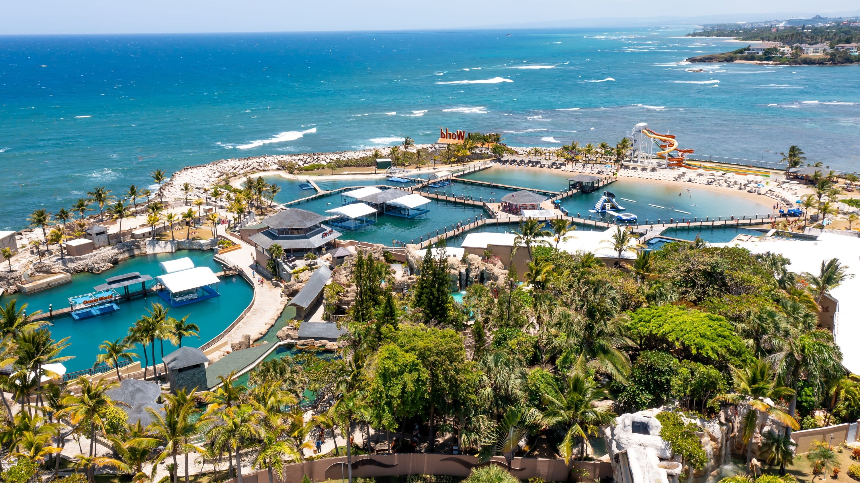 two dolphins are jumping out of the water