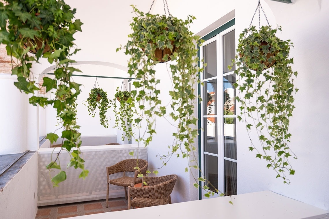 a balcony with chairs and potted plants hanging from the ceiling