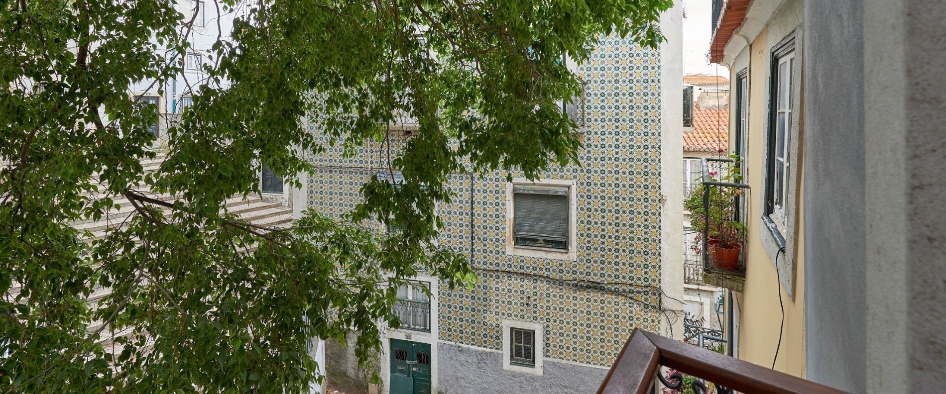 una vista de un edificio a través de un árbol