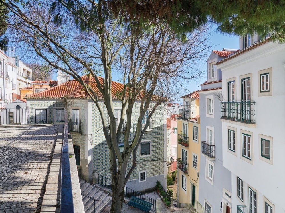 una calle llena de edificios y escaleras con un árbol en el medio